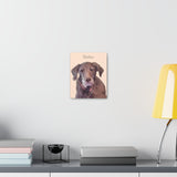 Canvas 8x10 Printify - Bailey - Dog 2.6