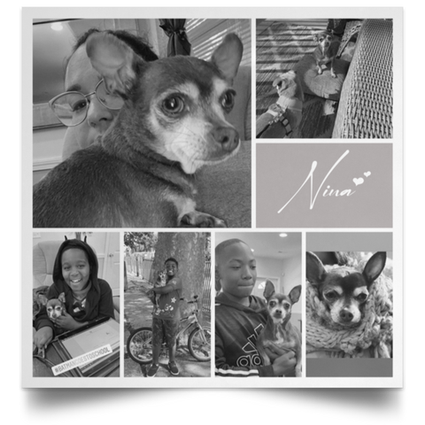 CC Satin 24x24 Poster - 6 Photos - Nina