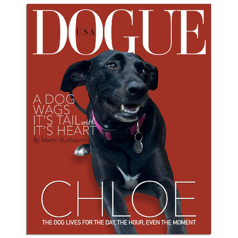 Gelato Premium Matte 16x20 Poster - Style 3 - Chloe