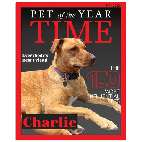 Gelato Premium Matte 16x20 Poster - Style 1 - Charlie