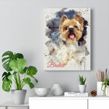 Dog poster -- Brutus -- Canvas 12x16 -- Printify