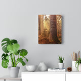 Lindsay & Idalia -- Canvas 8x10 -- printify
