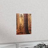 Printify Poster 11x14 Matte - Steve & Angie 12-27-87 - Carved Tree