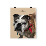 Printify Poster 9x11 - P-Nut Dog 2.6