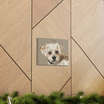 Canvas Gallery Wraps 10x8 Printify - Dog 2.6 - Oliver