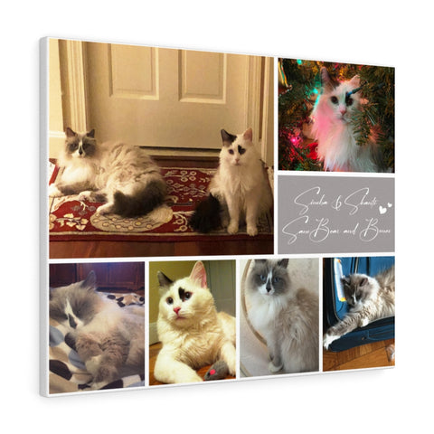 Print poster -- Simba & Shanti / SamBear and Bones -- Canvas 24x30 -- Printify