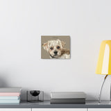 Canvas Gallery Wraps 10x8 Printify - Dog 2.6 - Oliver