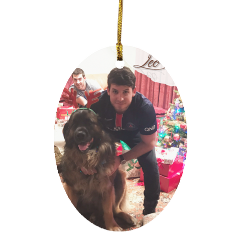 Christmas Ornaments(Custom Your Image) -- Oval --Leo -- customcat