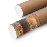 Printify Poster 11x14 Matte - Steve & Angie 12-27-87 - Carved Tree