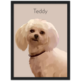 Dog Framed Poster - Teddy 2.6 - Gelato 12x16