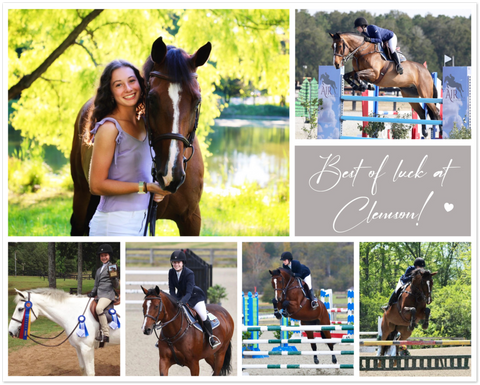 Photos Collages Prints -- Unframed 16''x20'' -- Clemson