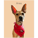 Gelato Matte 16x20 Poster - Dog 2.6 - Aries