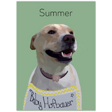 Gelato Matte Poster 5x7 - Summer Dog 2.6