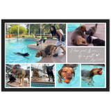 Photo -- Paws, pool & sun…life is good! Aug/2021 -- Black framed 12x18 -- Gelato