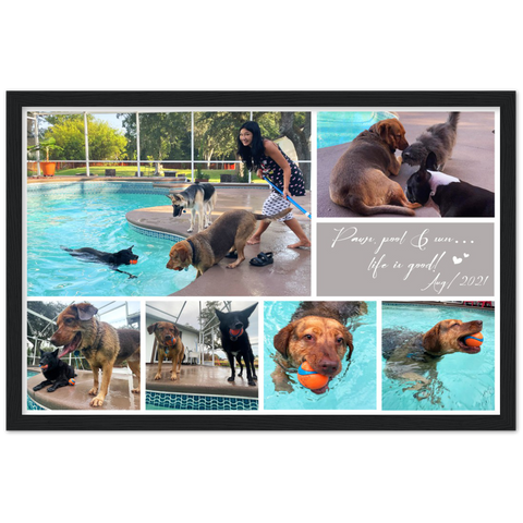 Photo -- Paws, pool & sun…life is good! Aug/2021 -- Black framed 12x18 -- Gelato