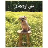 Gelato 8x10 Poster - Dog 2.9 - Lacey Jo