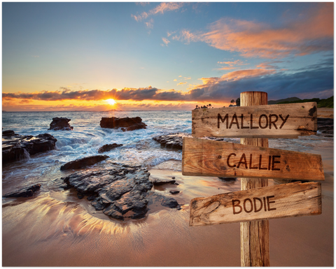 Name Street Sign -- Unframed 16''x20'' -- Mallory &Callie &Bodie