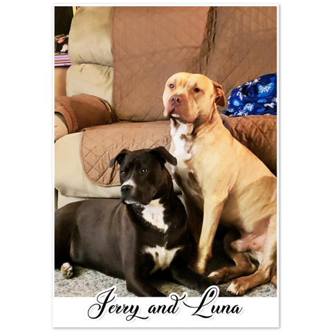 Your Own Prints -- Poster/ 28''x40'' -- Jerry And Luna