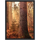 Gelato Framed Poster 12x16 - Rick and Dora - 11/25/1977