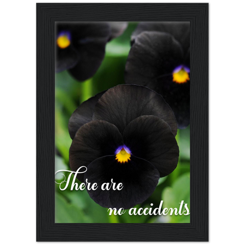 There are no accidents -- Black Framed  5”x7” -- Gelato