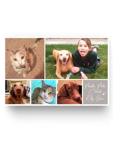 ca517e8ba89b349b3d74ba08bca972f5283df54ad2ffb5ffcb0390d8e6c8007c