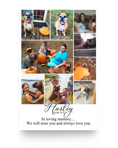 9a505b5f93c7aca1452735022e1b1f3a10bb0b267dcde132eca66674a343cbc5