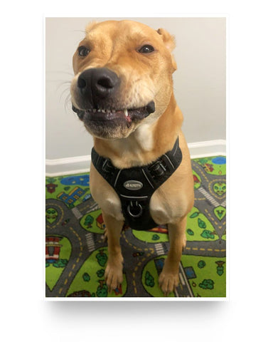 f5cb4eae3db783e2f54a8ce87a06019f9f0c54c0355e45b8d5e0f360c331f579